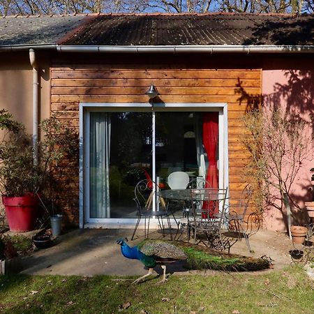 La Faisanderie Saint-Florent-sur-Cher Esterno foto