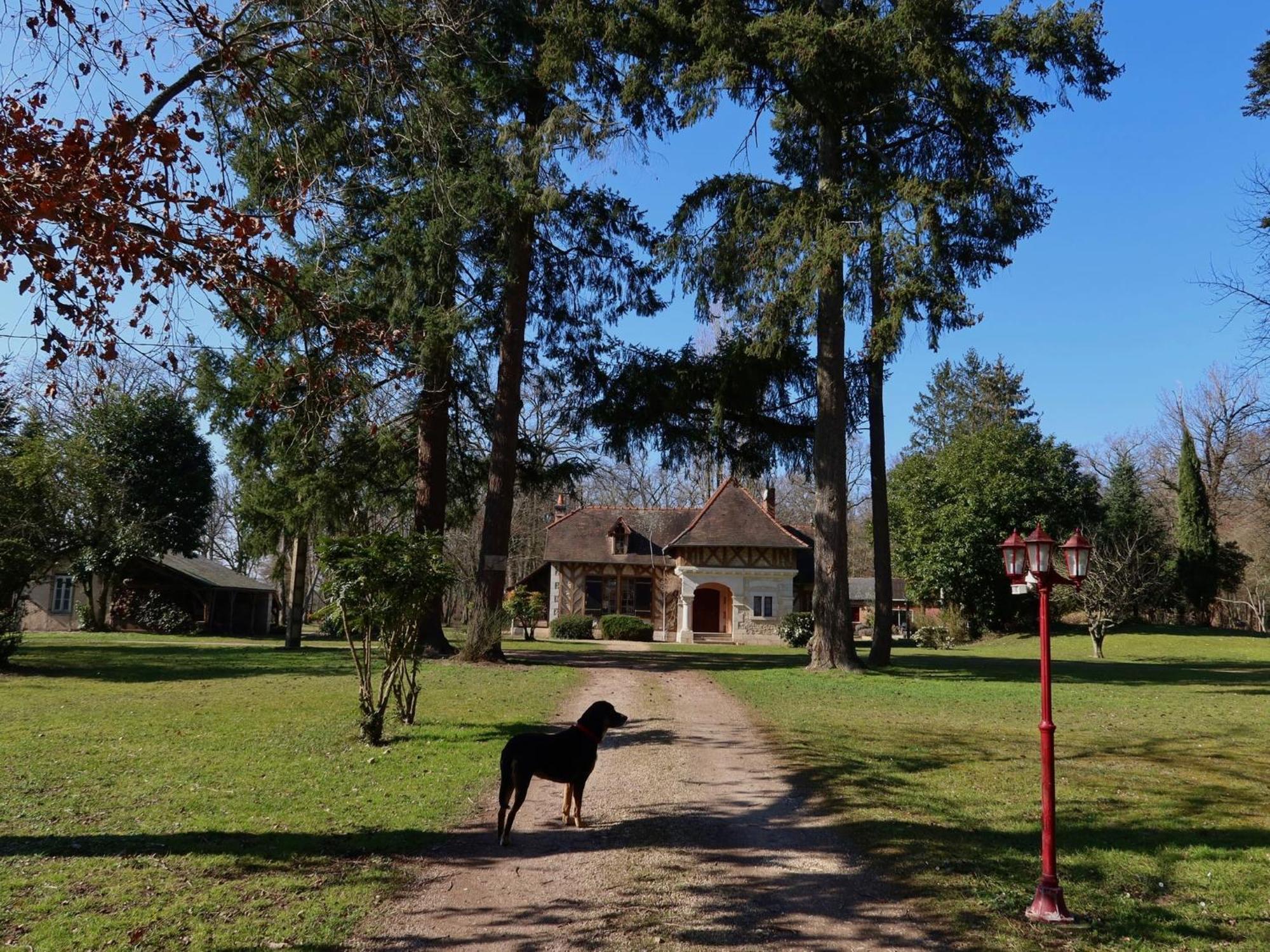 La Faisanderie Saint-Florent-sur-Cher Esterno foto