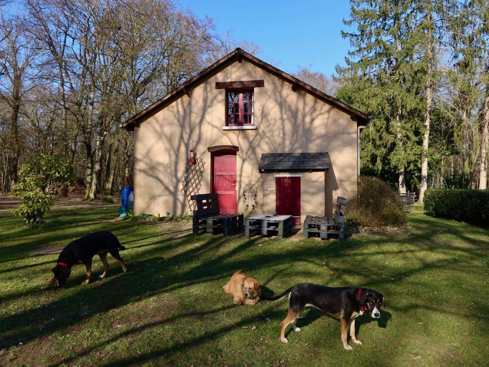 La Faisanderie Saint-Florent-sur-Cher Esterno foto